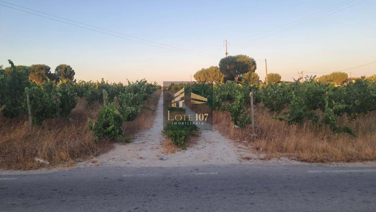 Terreno para Venda em Poceirão e Marateca Foto 22