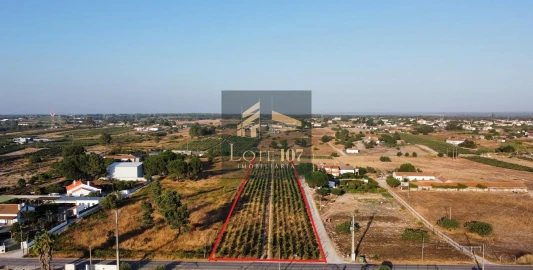 Terreno para Venda em Poceirão e Marateca