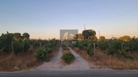 Terreno para Venda em Poceirão e Marateca