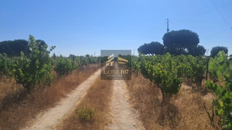Terreno para Venda em Poceirão e Marateca
