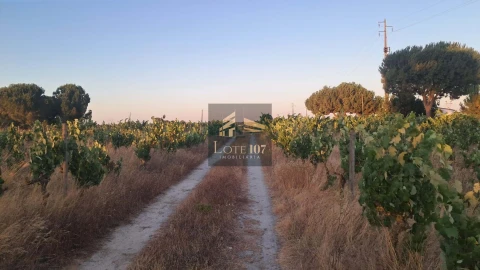 Terreno para Venda em Poceirão e Marateca