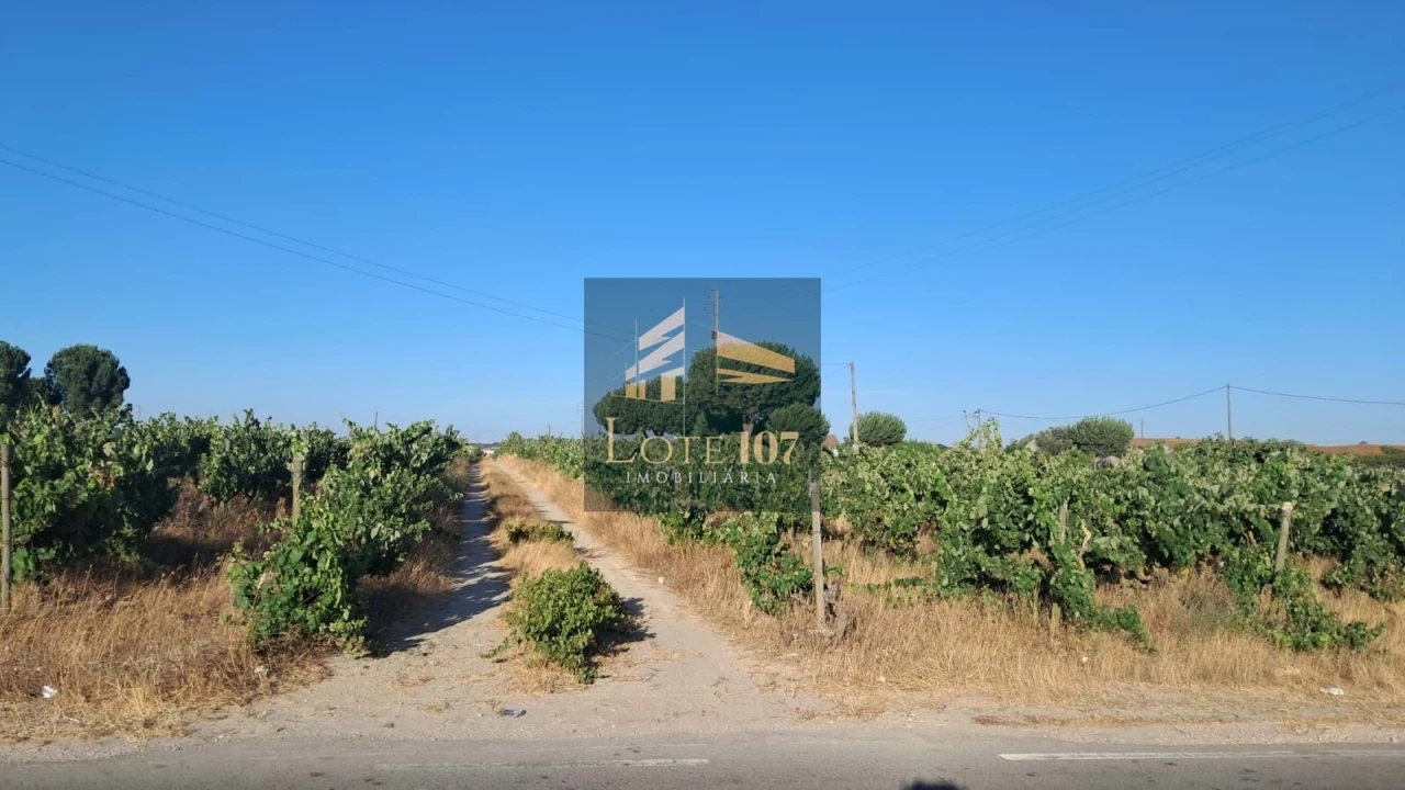 Terreno para Venda em Poceirão e Marateca Foto 6