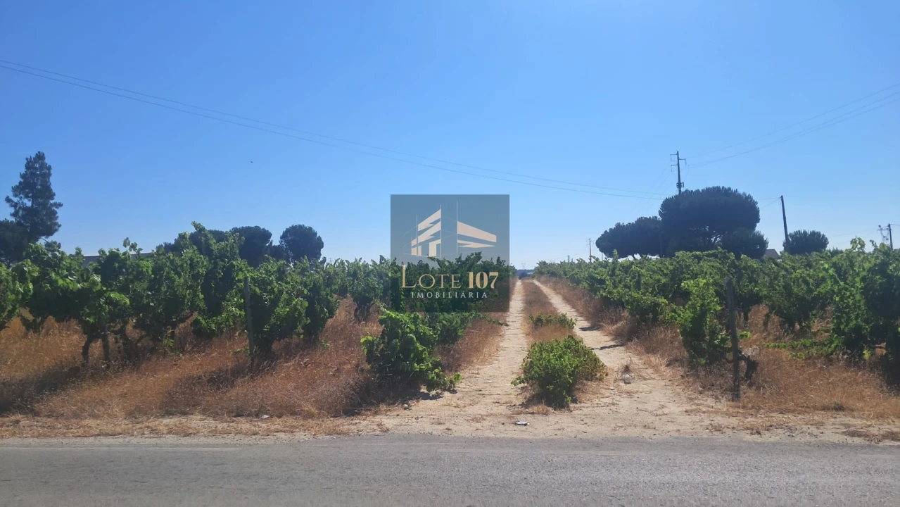 Terreno para Venda em Poceirão e Marateca Foto 23