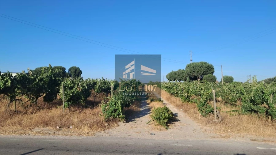 Terreno para Venda em Poceirão e Marateca Foto 3