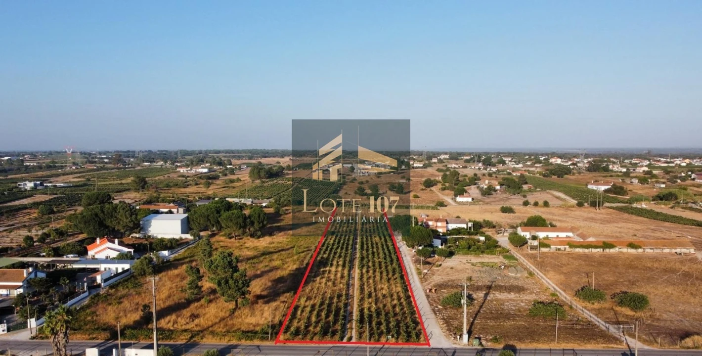 Terreno para Venda em Poceirão e Marateca Foto 1