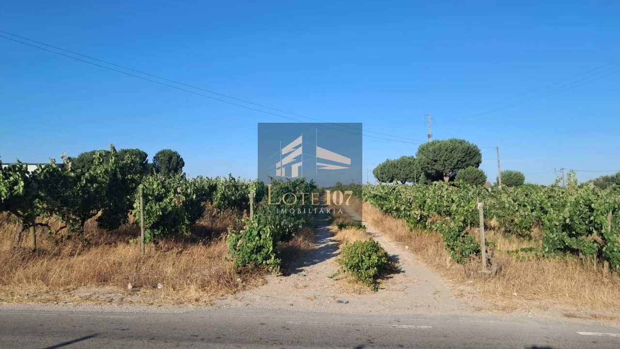 Terreno para Venda em Poceirão e Marateca Foto 3