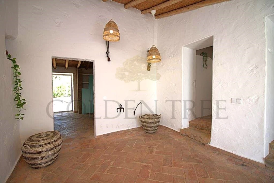 Quinta T14 para Venda em Loule (São Clemente) Foto 2