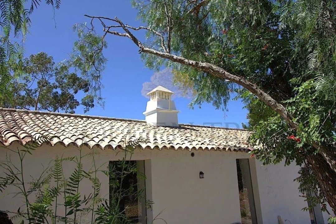 Quinta T14 para Venda em Loule (São Clemente) Foto 23