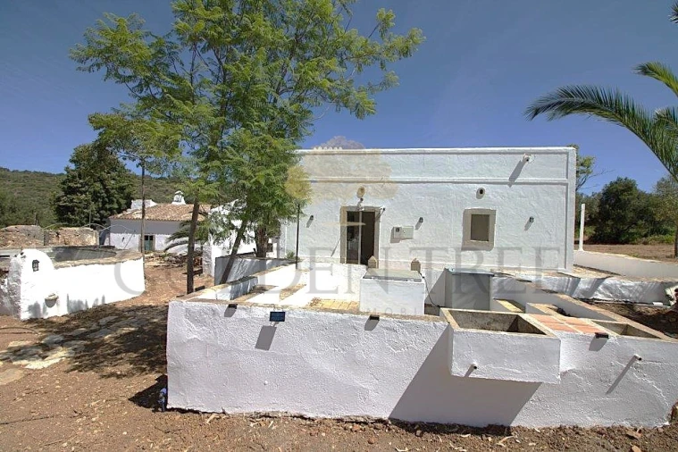 Quinta T14 para Venda em Loule (São Clemente) Foto 26