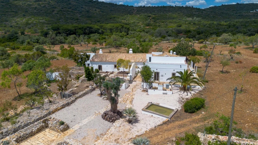 Quinta T14 para Venda em Loule (São Clemente) Foto 5
