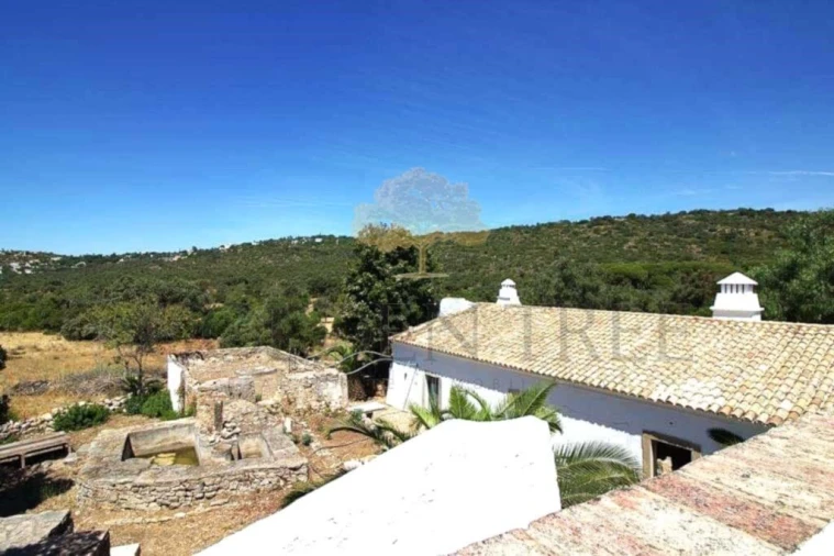 Quinta T14 para Venda em Loule (São Clemente) Foto 31