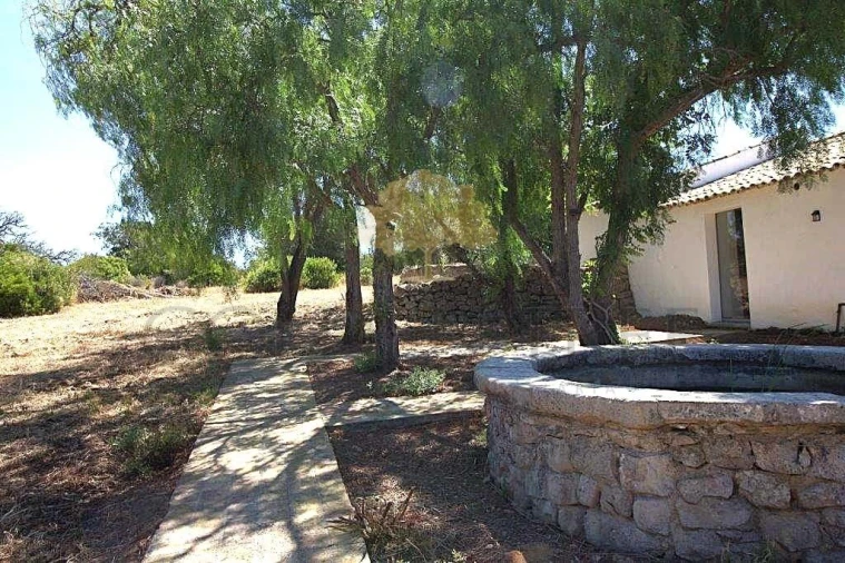 Quinta T14 para Venda em Loule (São Clemente) Foto 22