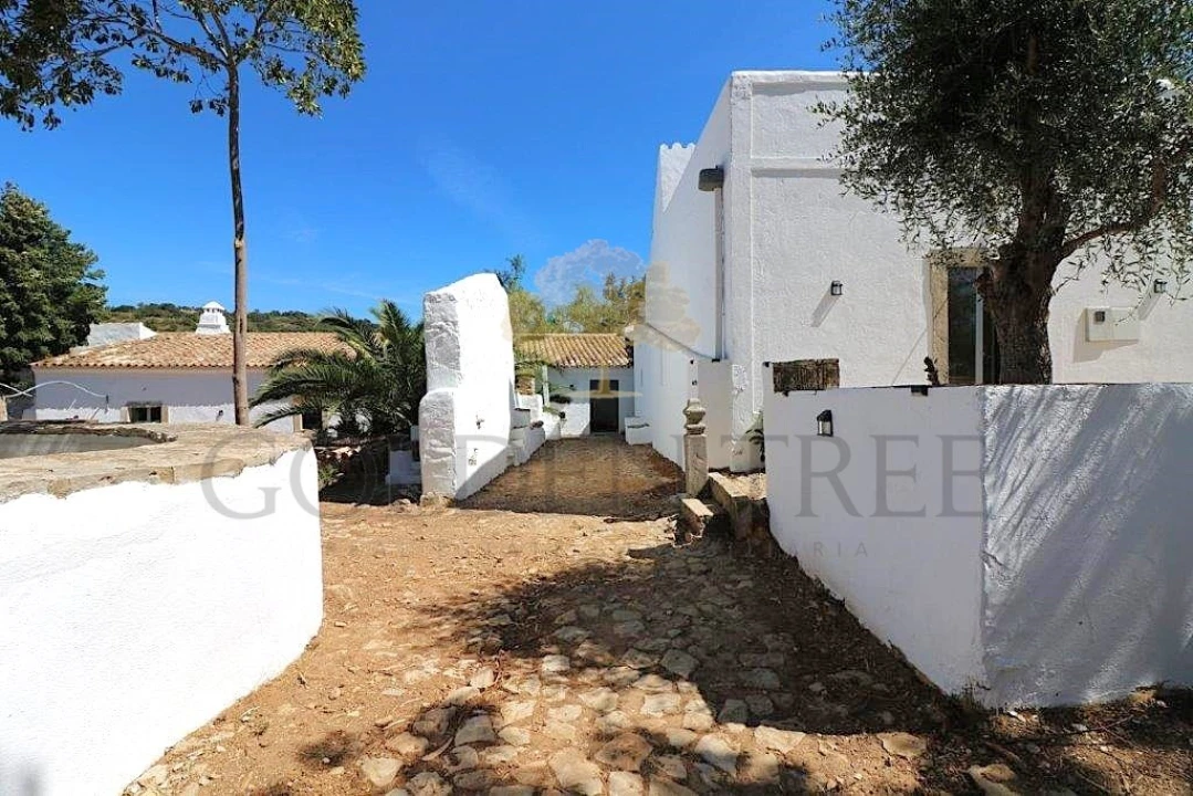 Quinta T14 para Venda em Loule (São Clemente) Foto 18