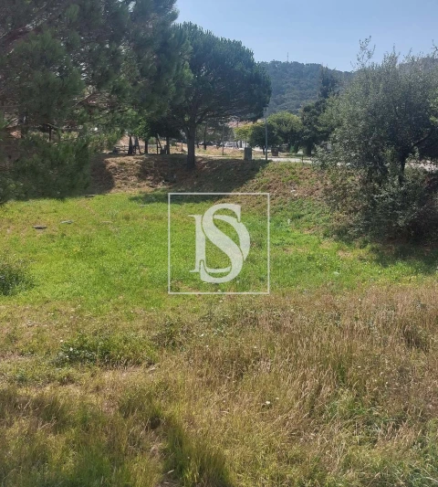 Terreno para Venda em Darque