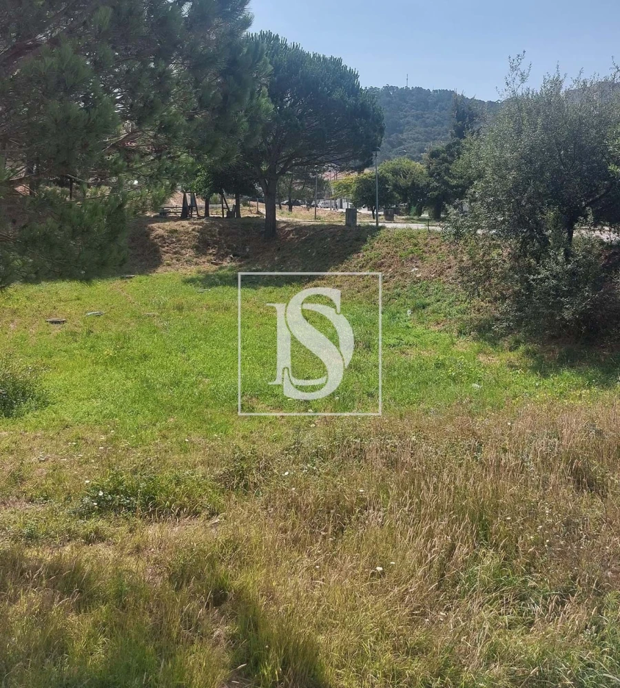 Terreno para Venda em Darque Foto 5