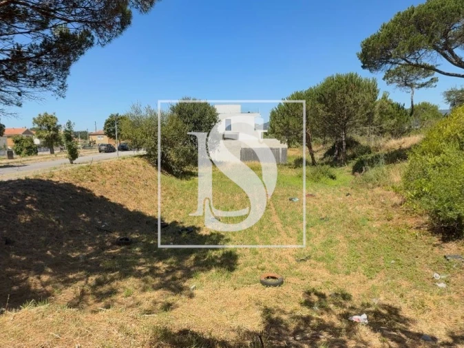 Terreno para Venda em Darque Foto 3