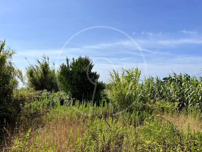 Terreno para Venda em Colares Foto 3