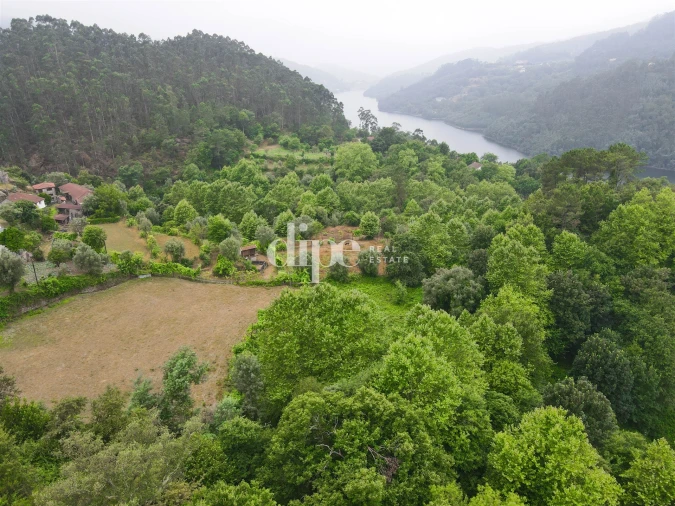 Terreno para Venda em Caniçada e Soengas Foto 9