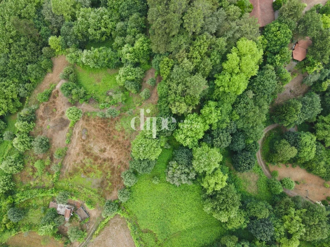 Terreno para Venda em Caniçada e Soengas Foto 5