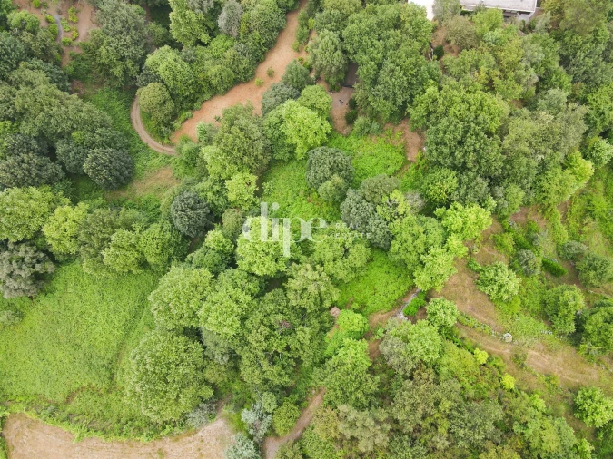 Terreno para Venda em Caniçada e Soengas Foto 7