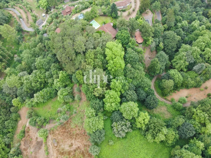 Terreno para Venda em Caniçada e Soengas Foto 3
