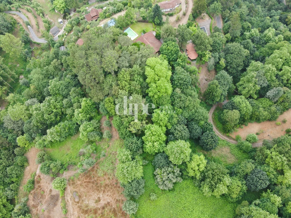 Terreno para Venda em Caniçada e Soengas Foto 3