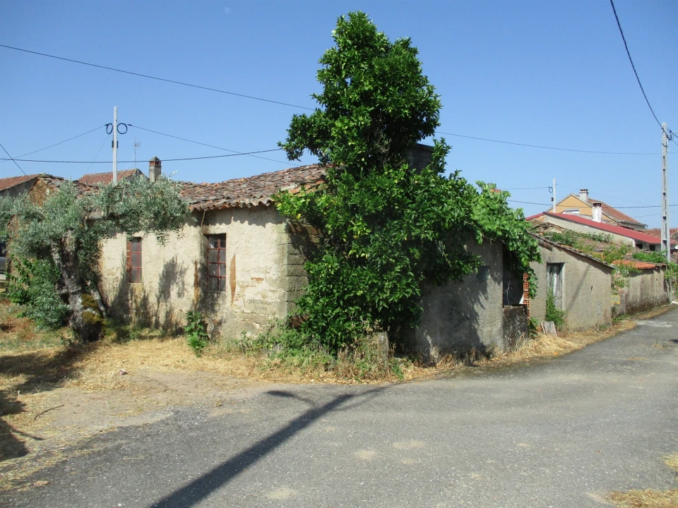 Moradia T2 para Venda em Sarzedas Foto 3