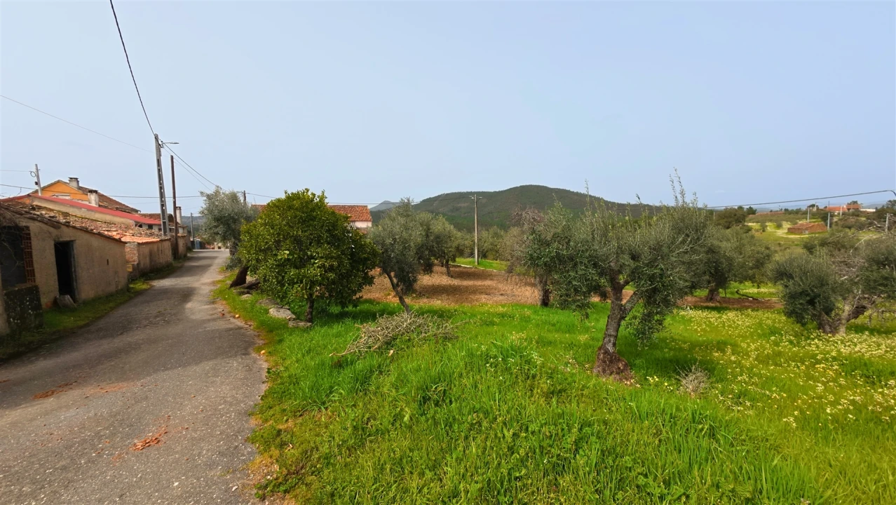 Moradia T2 para Venda em Sarzedas Foto 18