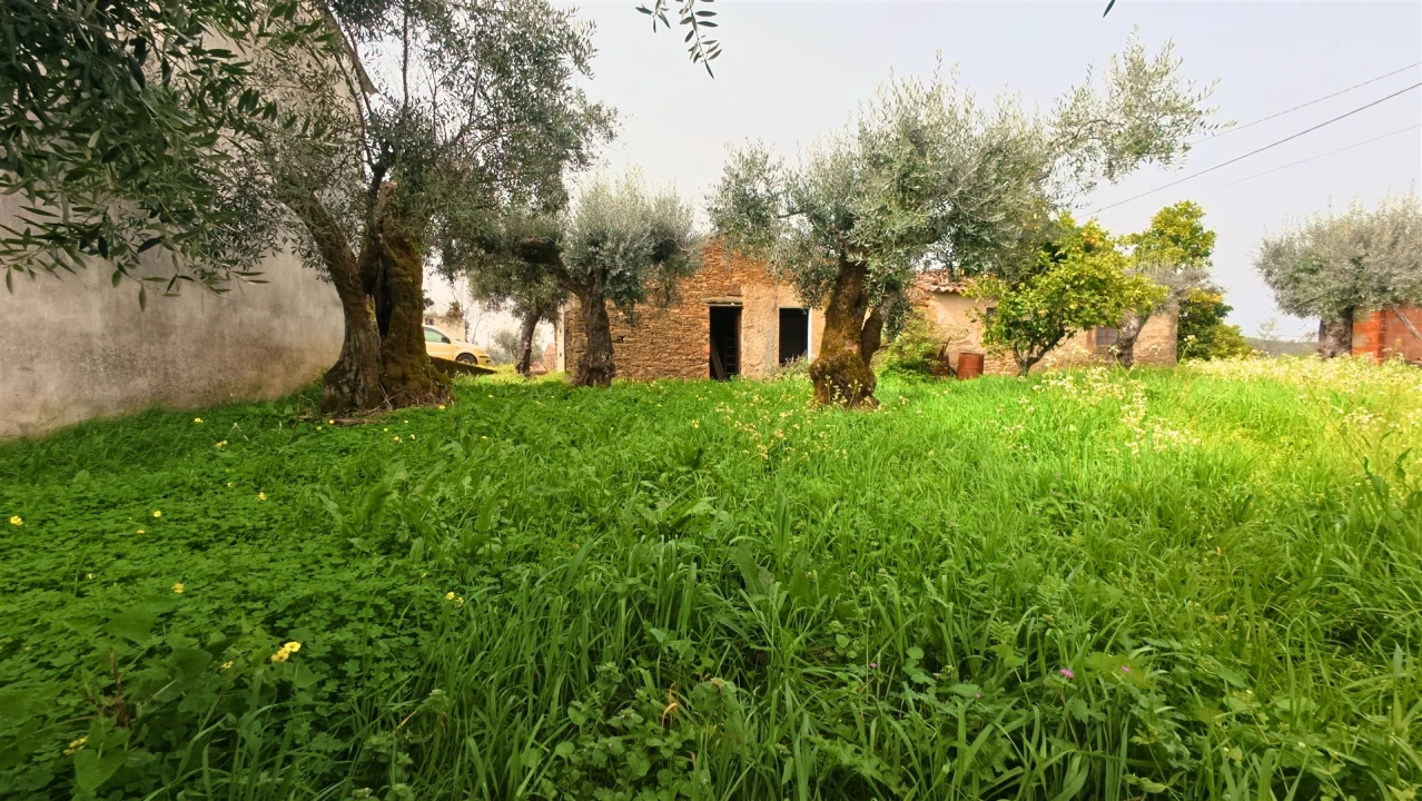 Moradia T2 para Venda em Sarzedas Foto 5