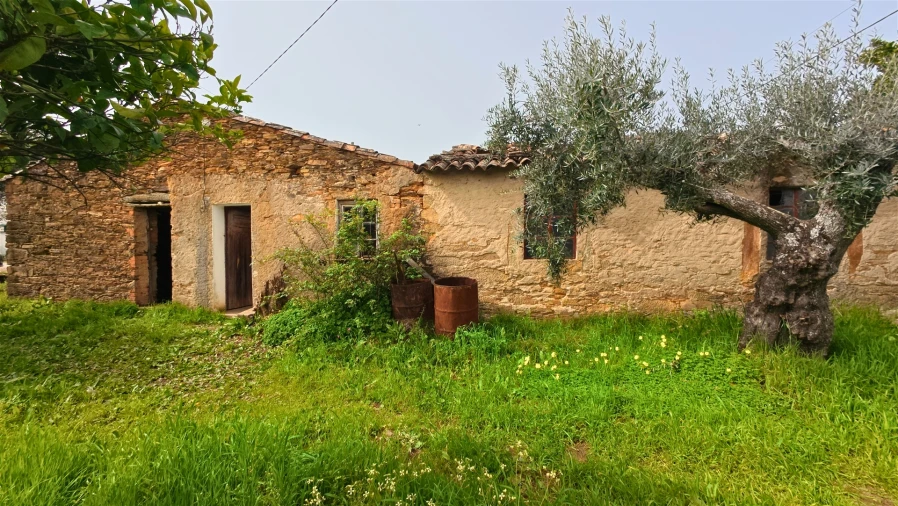 Moradia T2 para Venda em Sarzedas Foto 4