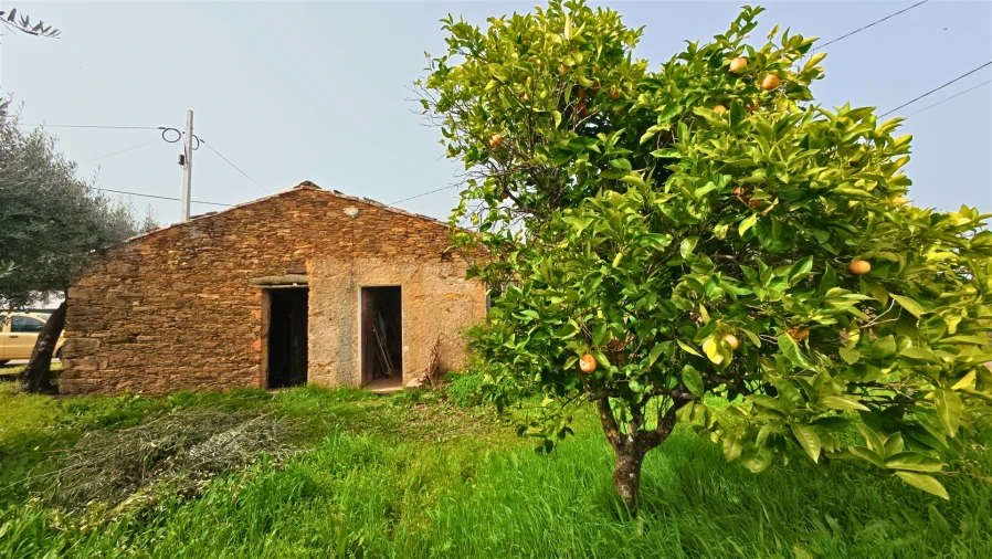 Moradia T2 para Venda em Sarzedas Foto 3