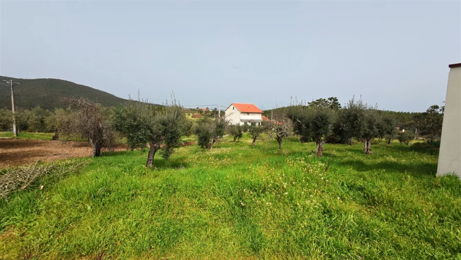 Moradia T2 para Venda em Sarzedas Foto 19