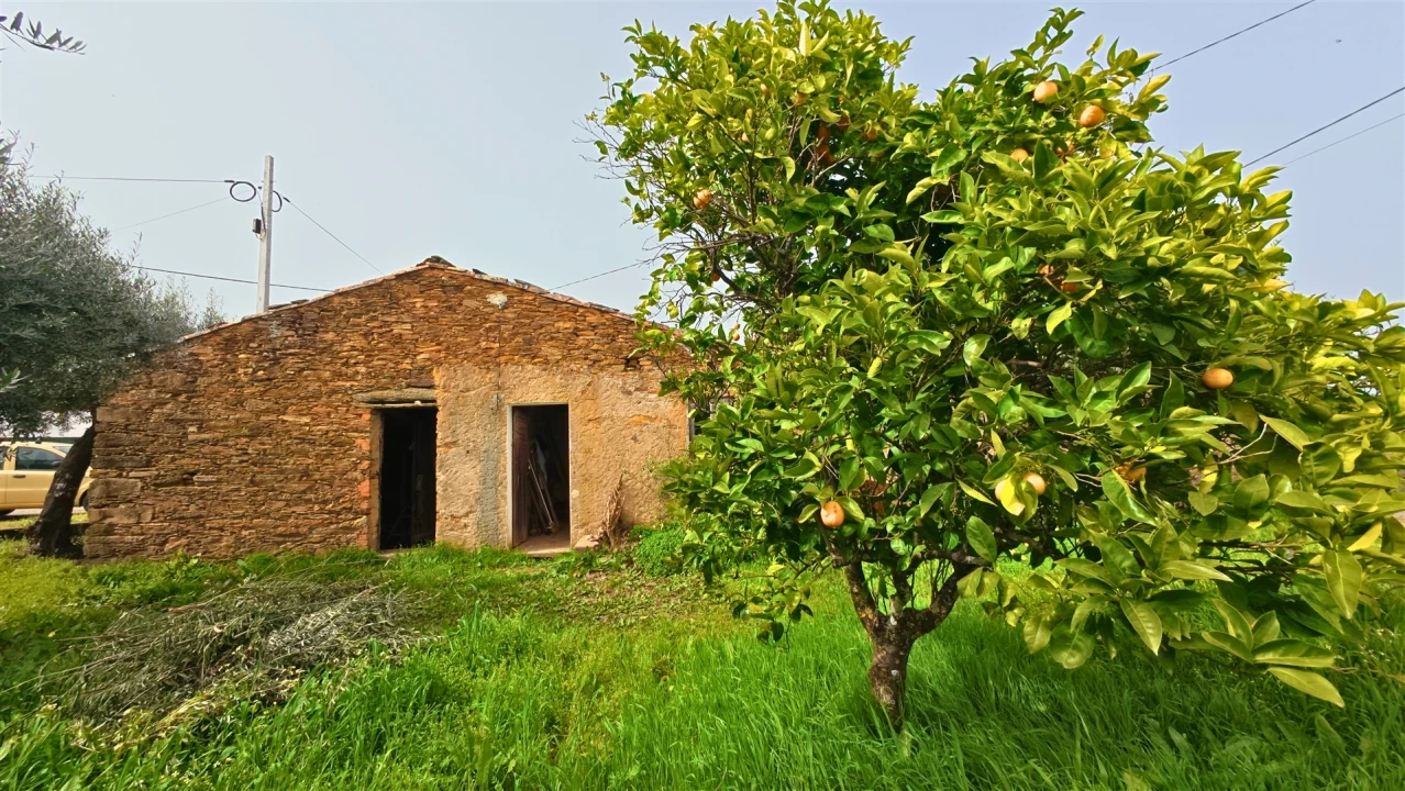 Moradia T2 para Venda em Sarzedas Foto 3