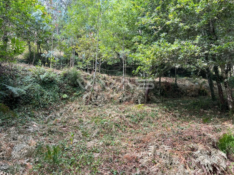 Terreno Agricola ou Rústico para Venda em Bouro (Santa Marta) Foto 8