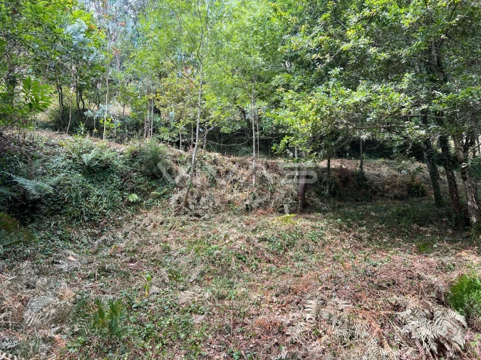 Terreno Agricola ou Rústico para Venda em Bouro (Santa Marta) Foto 8