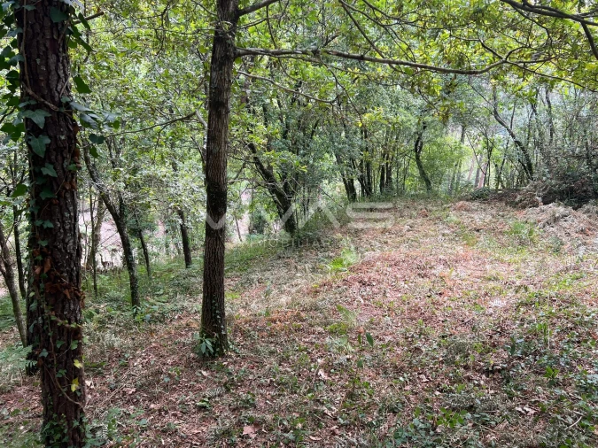 Terreno Agricola ou Rústico para Venda em Bouro (Santa Marta) Foto 5