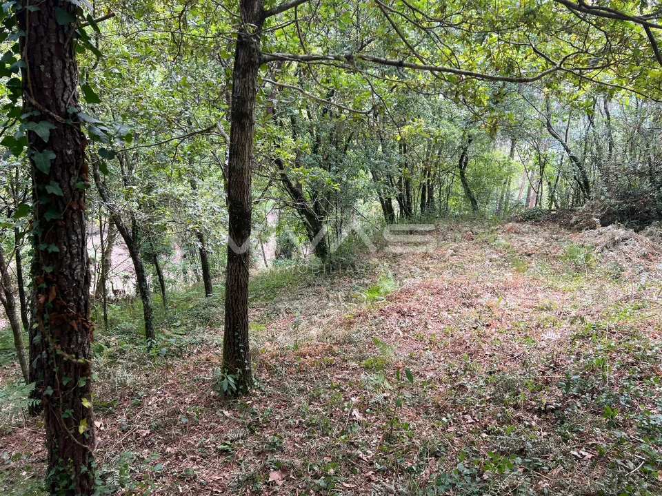 Terreno Agricola ou Rústico para Venda em Bouro (Santa Marta) Foto 5