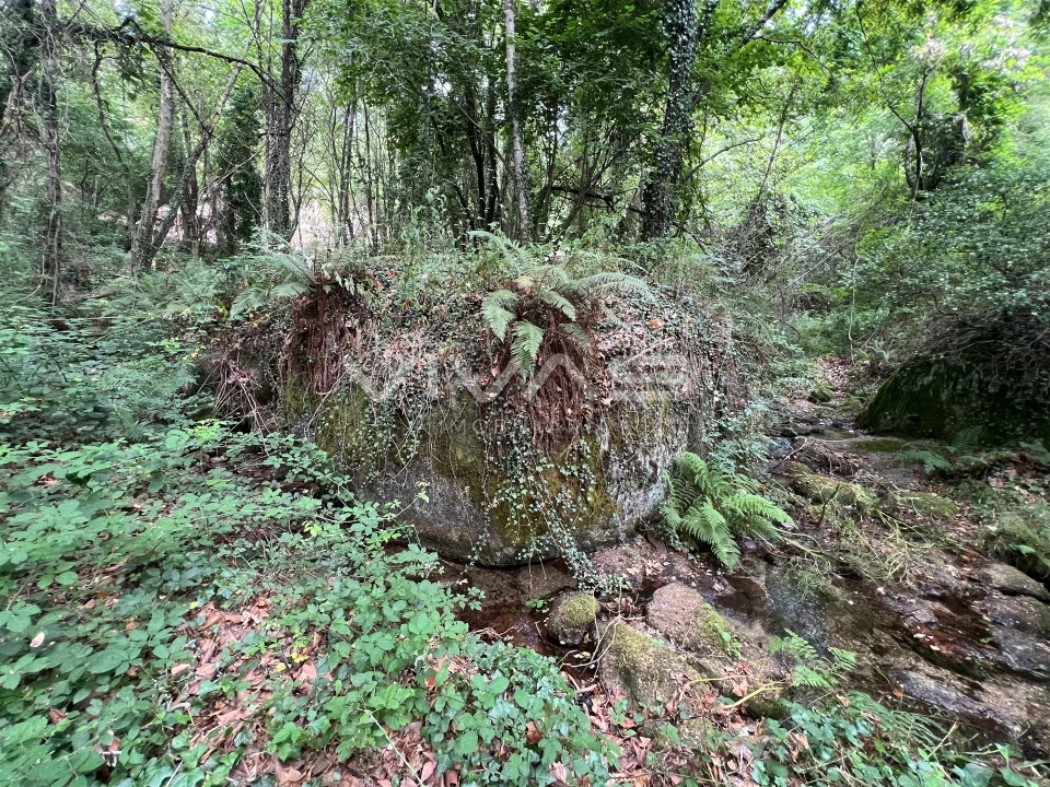 Terreno Agricola ou Rústico para Venda em Bouro (Santa Marta) Foto 4
