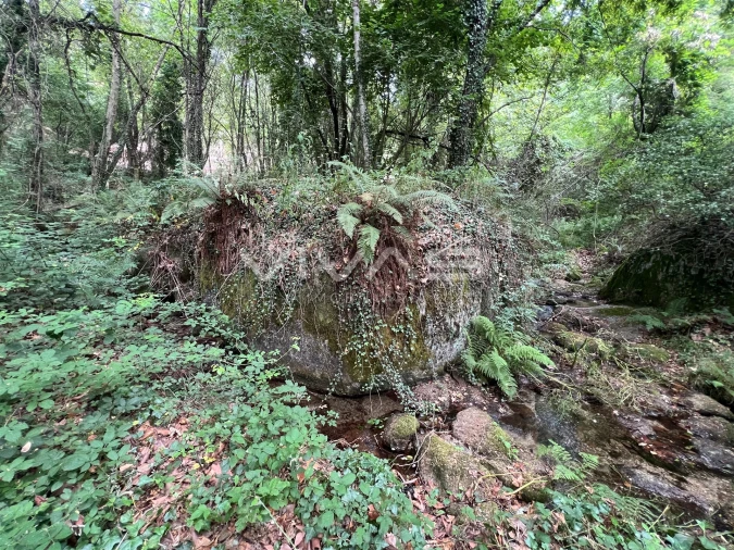 Terreno Agricola ou Rústico para Venda em Bouro (Santa Marta) Foto 4