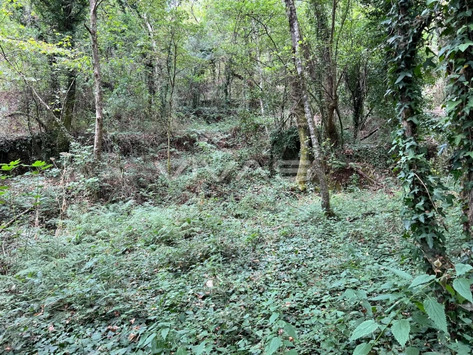 Terreno Agricola ou Rústico para Venda em Bouro (Santa Marta) Foto 8