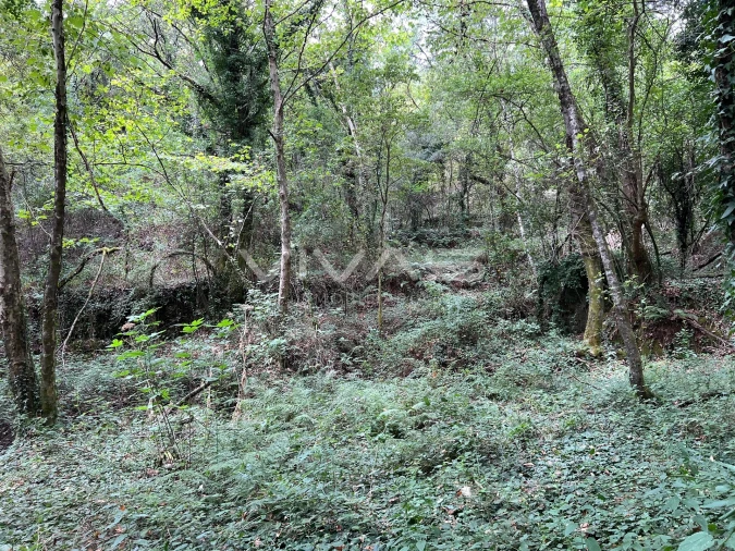 Terreno Agricola ou Rústico para Venda em Bouro (Santa Marta) Foto 9