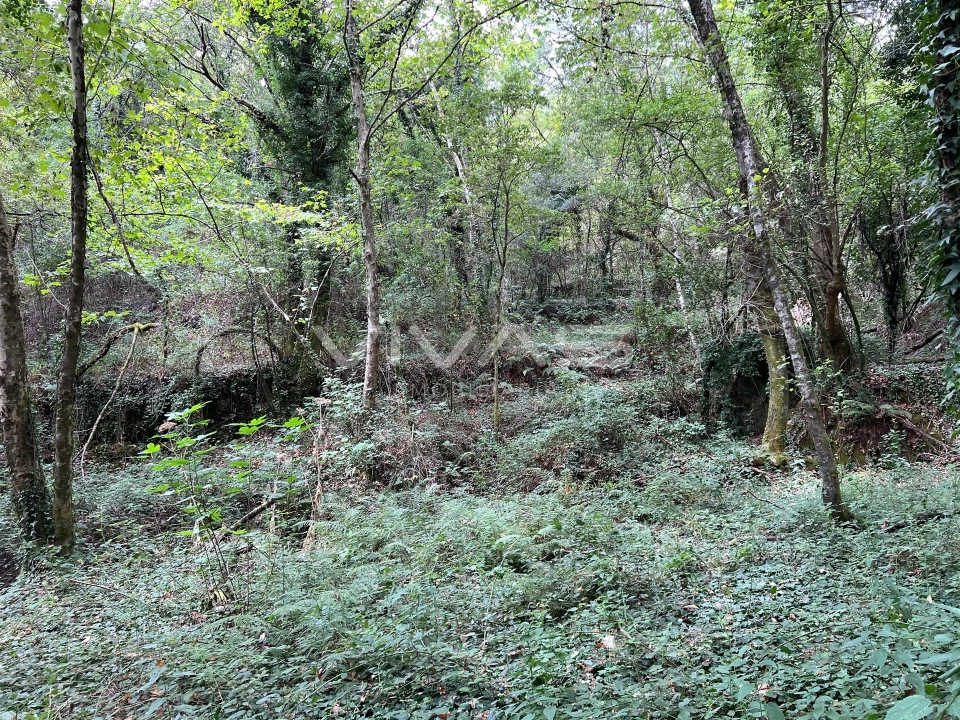 Terreno Agricola ou Rústico para Venda em Bouro (Santa Marta) Foto 9