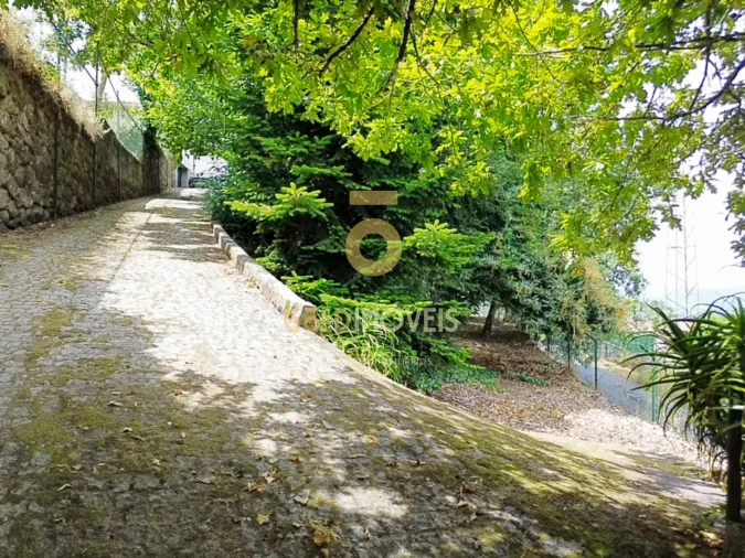 Quinta T6 para Venda em Souselo Foto 35