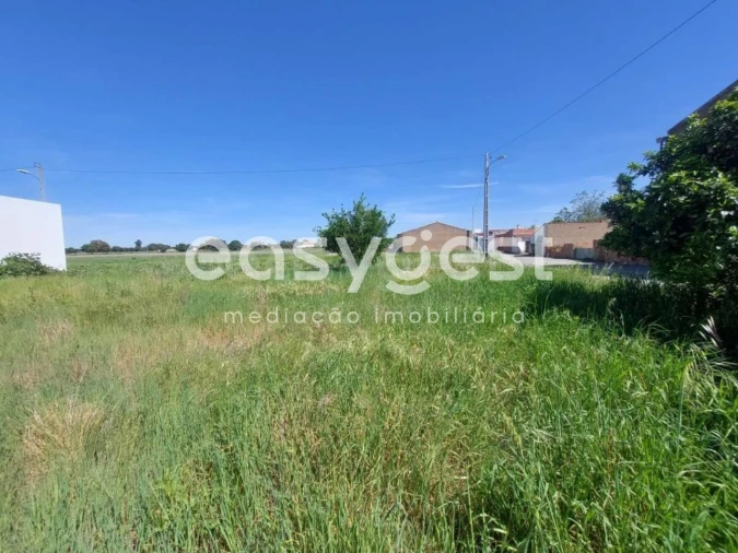 Moradia T2 para Venda em Ferreira do Alentejo e Canhestros Foto 4