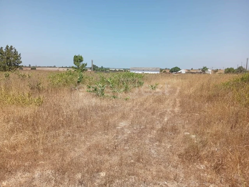 Terreno Agricola ou Rústico para Venda em Pegões Foto 16