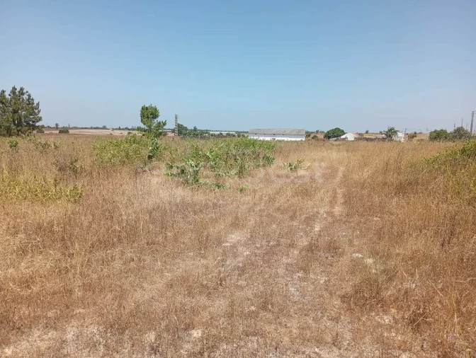 Terreno Agricola ou Rústico para Venda em Pegões Foto 16