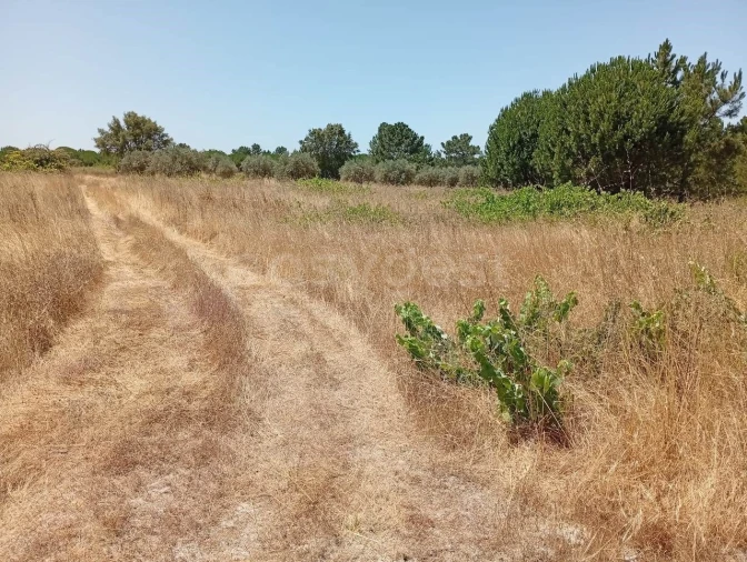 Terreno Agricola ou Rústico para Venda em Pegões Foto 17