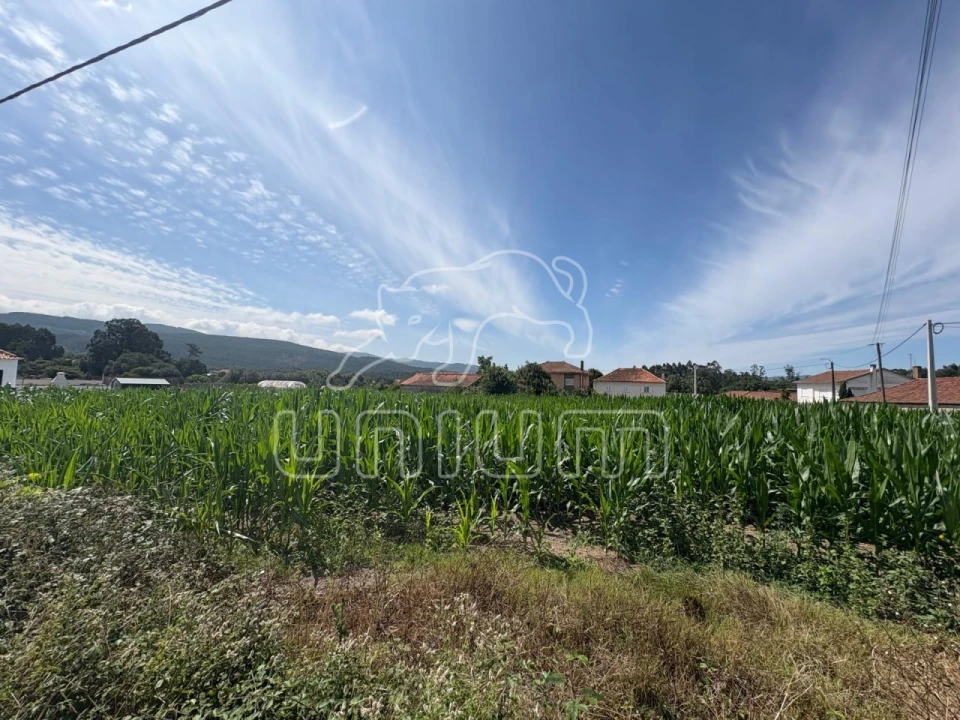 Terreno para Venda em Barroselas e Carvoeiro Foto 17