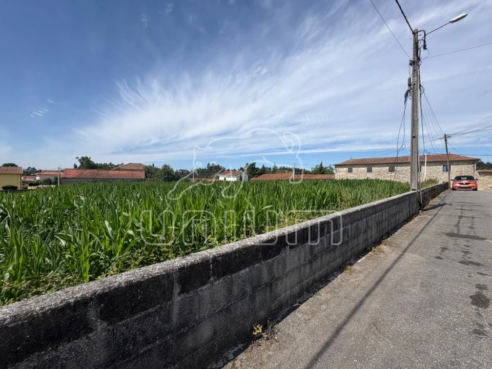 Terreno para Venda em Barroselas e Carvoeiro Foto 15