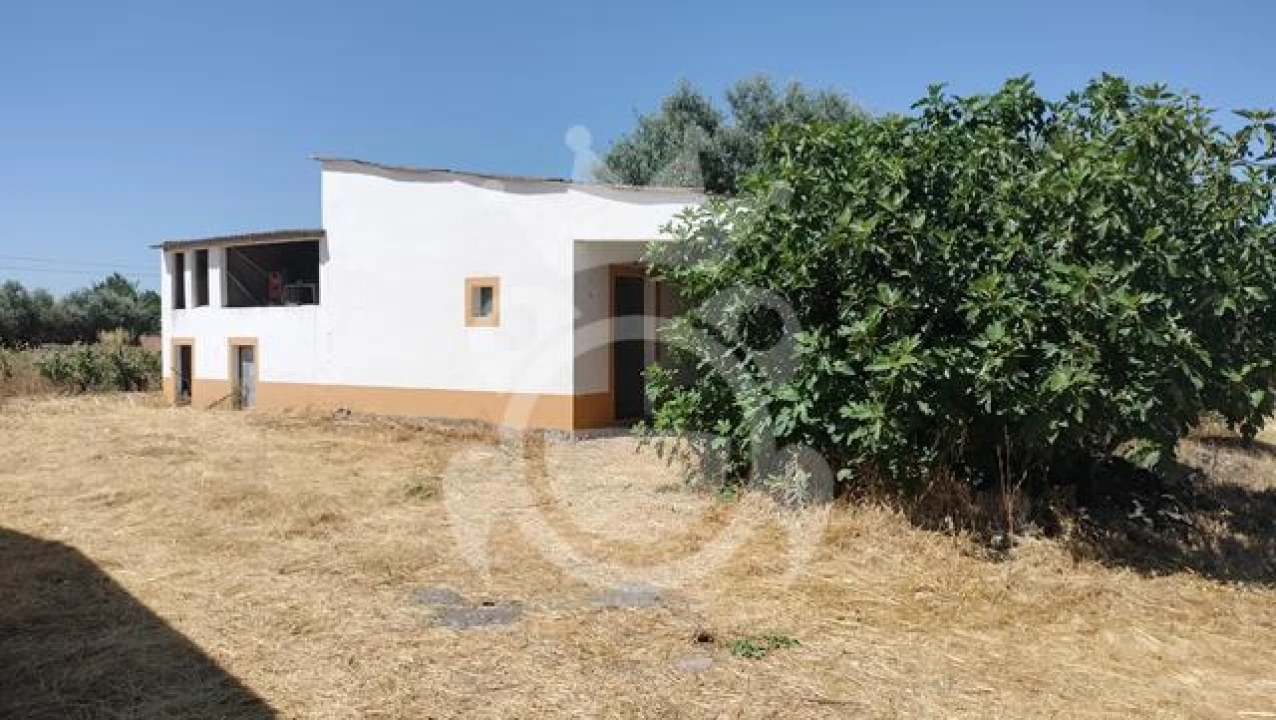 Quinta T3 para Venda em Reguengos de Monsaraz Foto 3